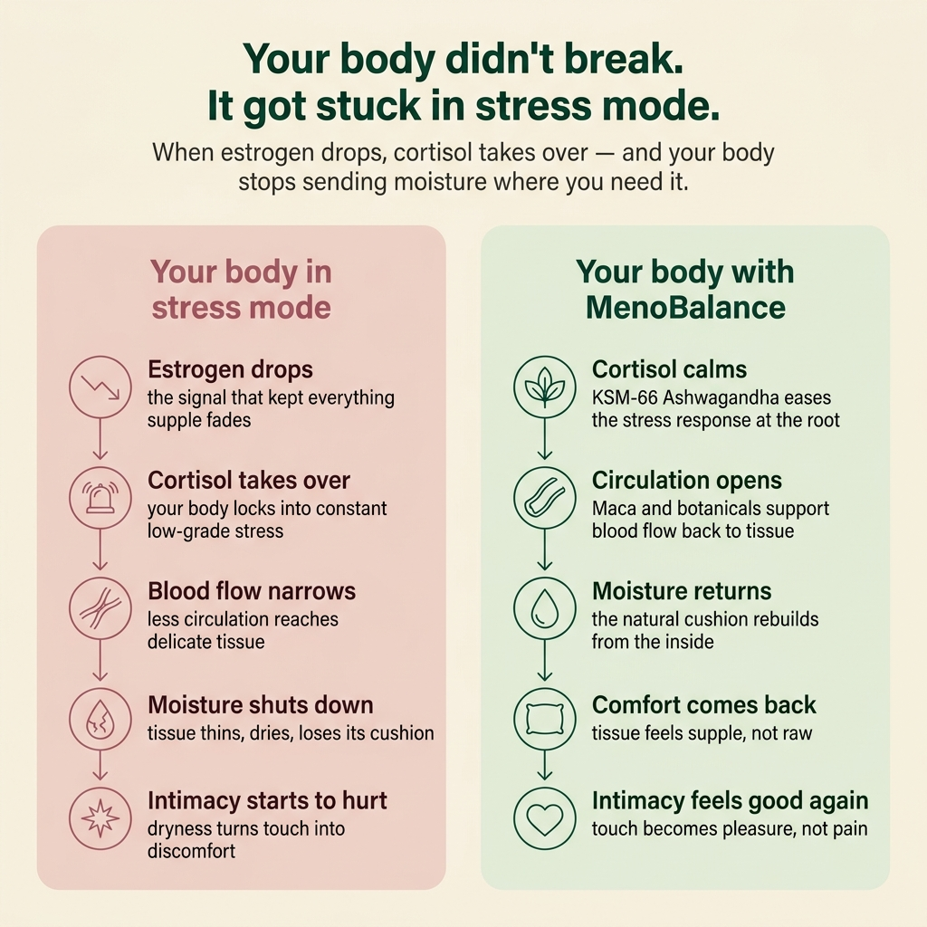 Menobalance — Dryness & Comfort