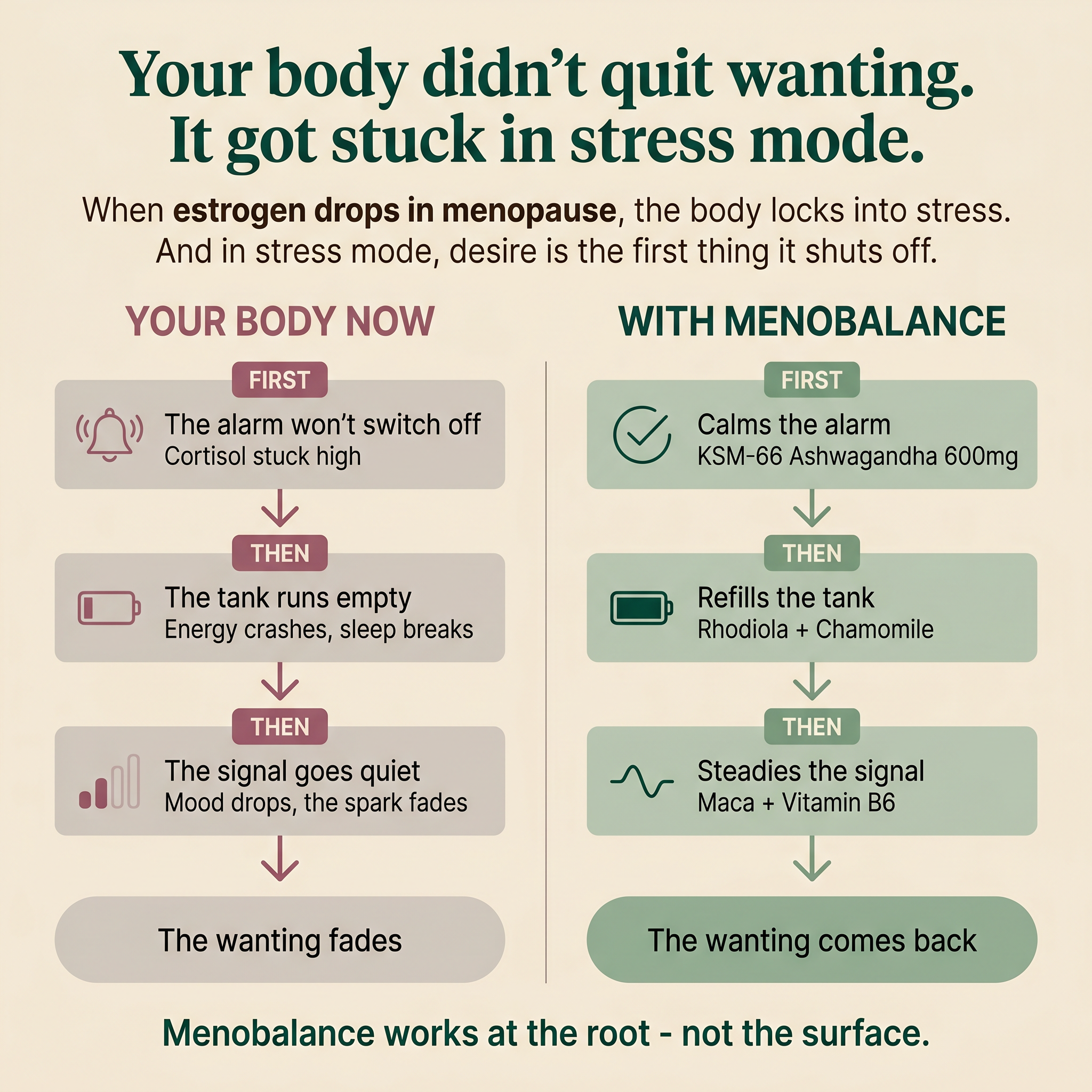 Menobalance — Desire & Vitality