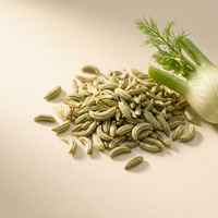 Fennel Seed