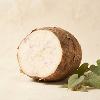 Wild Yam Root